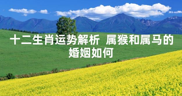 十二生肖运势解析  属猴和属马的婚姻如何